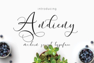 Andieny Font Review: Modern Script for Campaign Visuals