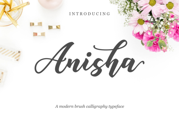 Anisha Font: Elevating Campaign Visuals with Modern Script