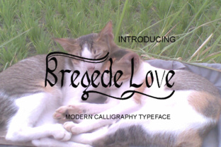 Bregede Love Font: A Modern Script for Branding