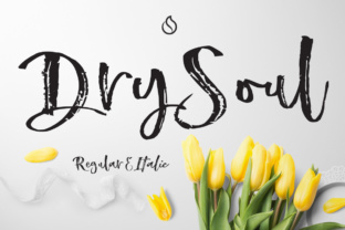 Enhance Your Campaigns with Dry Soul, the Grungy Script Font