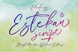 Esteban: A Playful Script Font for Dynamic Web Design
