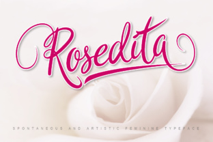 Exploring Rosedita: A Versatile Calligraphy Font for Branding