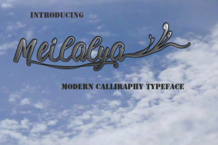 Meilalya Font: Elevating Campaign Visuals with Hand-Lettered Charm