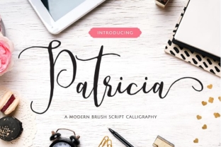 Patricia Font: Elevate Digital Campaigns with Modern Script