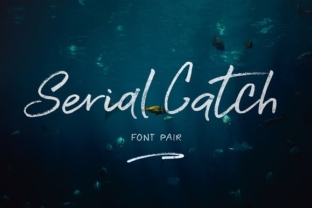 Serial Catch Font: Elevating Campaign Visuals