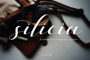 Silicia Font: A Script Typeface for Editorial Design