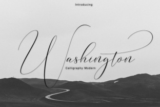 Washington Font: Elevating Digital Marketing Visuals